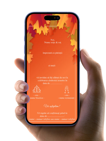 Invitatie Digitala de Nunta IDN03